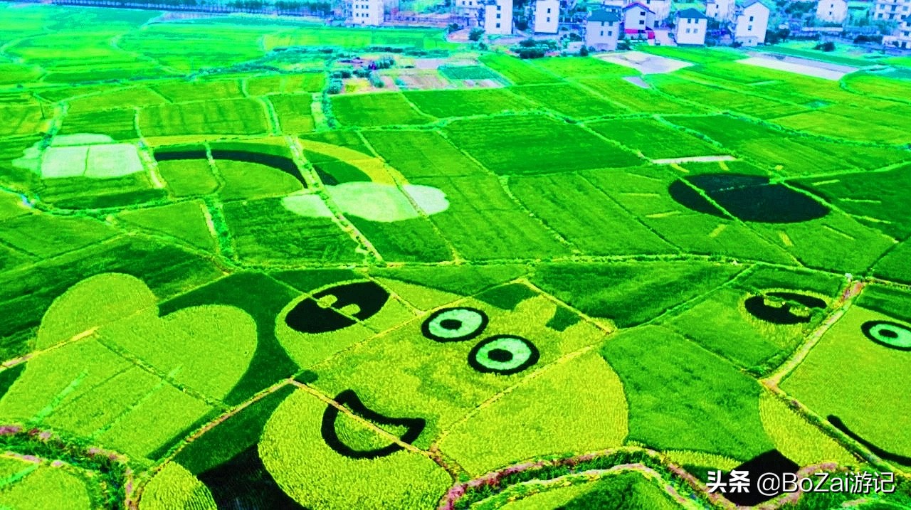 广西最美12大田园风光,个个都是旅游胜地,吸引众多摄影爱好者