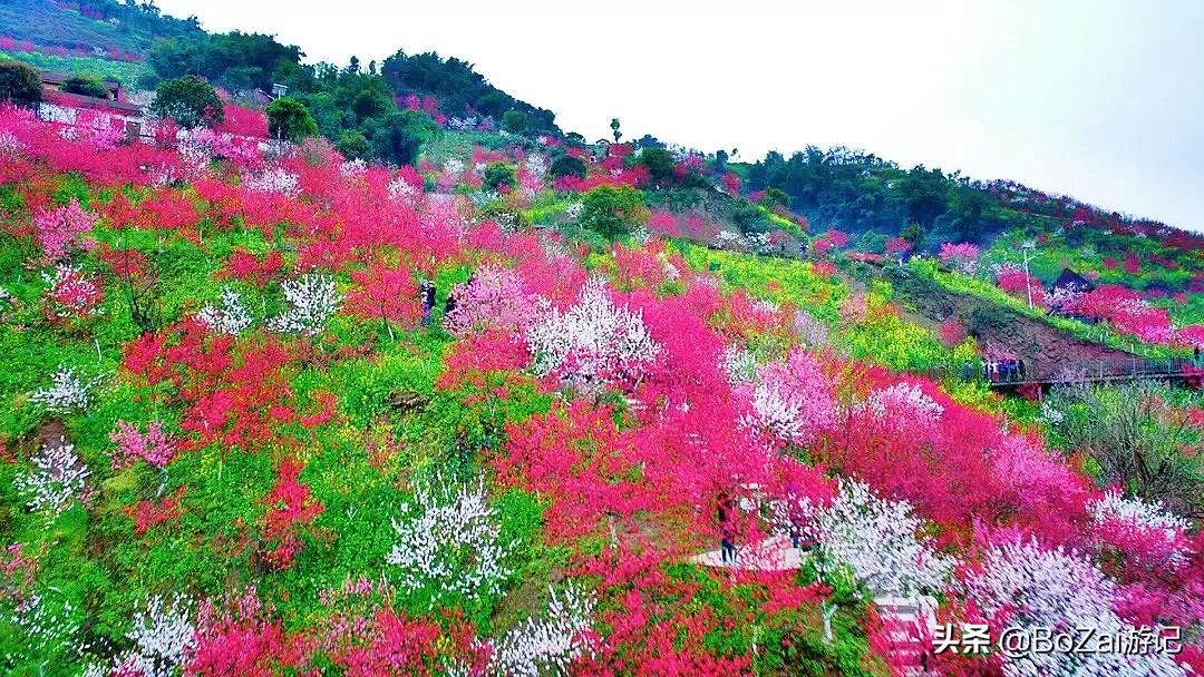 广西最美12大田园风光，个个都是旅游胜地，吸引众多摄影爱好者