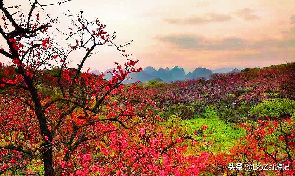 广西最美12大田园风光，个个都是旅游胜地，吸引众多摄影爱好者