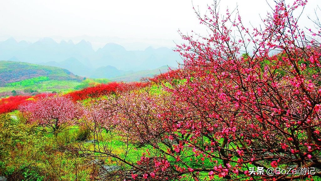 广西最美12大田园风光，个个都是旅游胜地，吸引众多摄影爱好者