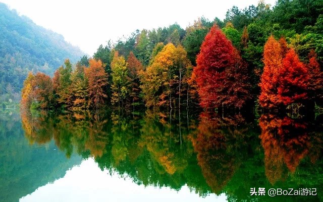 广西最美12大田园风光,个个都是旅游胜地,吸引众多摄影爱好者
