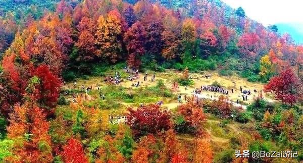 广西最美12大田园风光,个个都是旅游胜地,吸引众多摄影爱好者