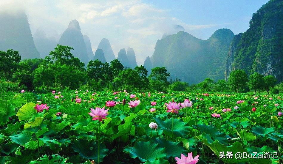 广西最美12大田园风光,个个都是旅游胜地,吸引众多摄影爱好者