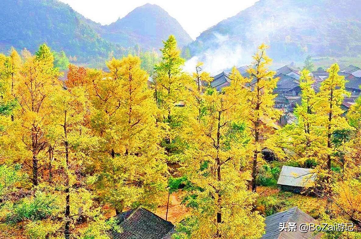 广西最美12大田园风光,个个都是旅游胜地,吸引众多摄影爱好者