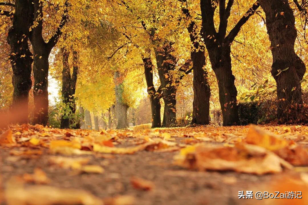 广西最美12大田园风光,个个都是旅游胜地,吸引众多摄影爱好者