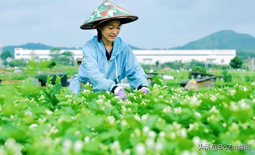 广西最美12大田园风光，个个都是旅游胜地，吸引众多摄影爱好者