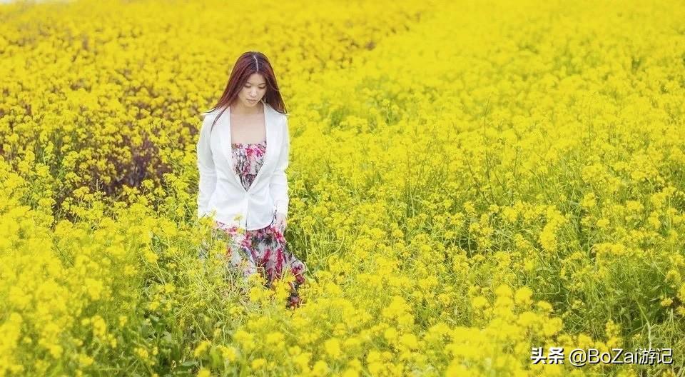 广西最美12大田园风光,个个都是旅游胜地,吸引众多摄影爱好者