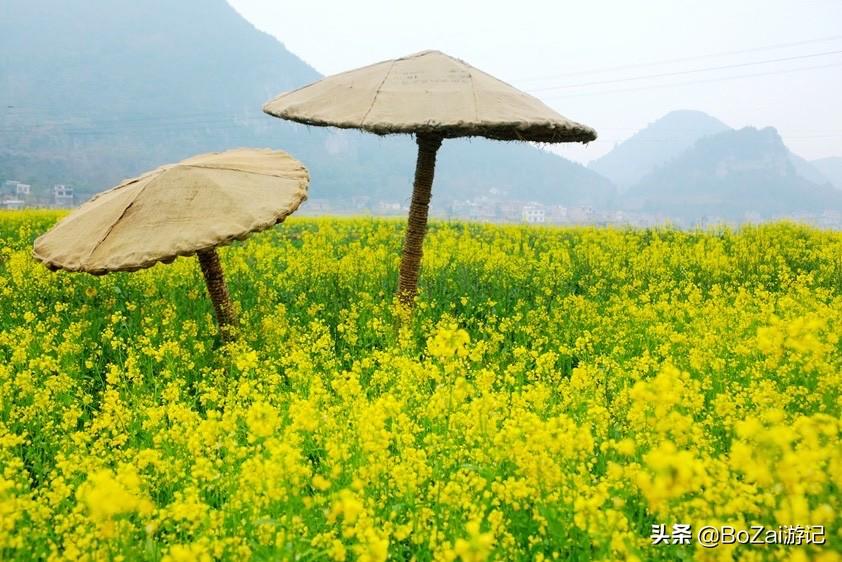 广西最美12大田园风光，个个都是旅游胜地，吸引众多摄影爱好者