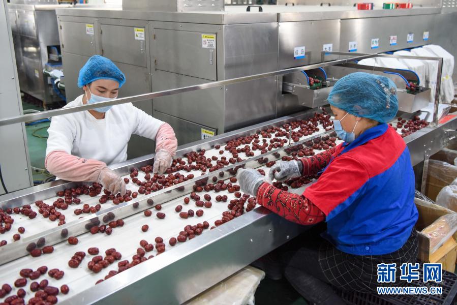 在位于和田县的新疆红枣（和田）批发交易市场，工人在红枣生产加工区忙碌（11月8日摄）。在位于和田县的新疆红枣（和田）批发交易市场，工人在红枣生产加工区忙碌（11月8日摄）。