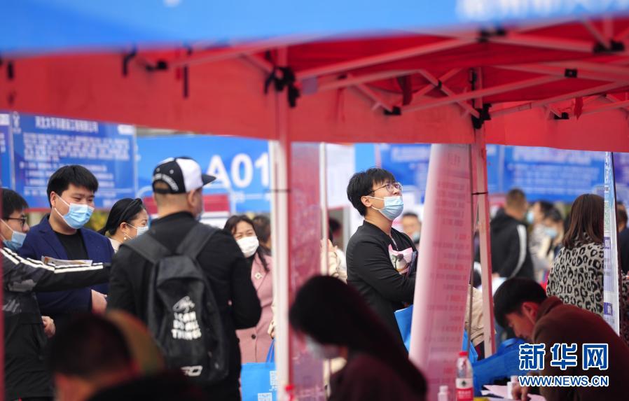 11月14日，求职者寻找合适岗位。当日，河北省沧州市第五届高校毕业生就业市场在沧州市体育场举办。本次活动采取线下“精准对接”与线上“云招聘”相结合的模式，500家用人单位提供岗位13000余个，达成就业意向近万人次，就业范围涵盖机械电子、职业教育、土建、园林等行业。新华社发（苑立伟 摄）