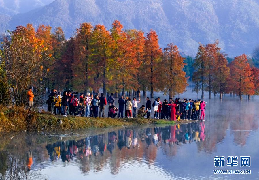 11月14日，安徽省黄山市黟县奇墅湖晨雾缥缈，美如仙境，吸引众多游客前来“打卡”。新华社发（水从泽摄）