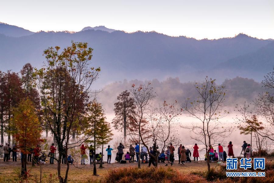 11月14日，安徽省黄山市黟县奇墅湖晨雾缥缈，美如仙境，吸引众多游客前来“打卡”。新华社发（水从泽摄）