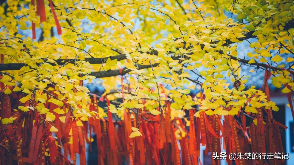 盘点那些一入秋就“大变样”,美得让人心动的城市,你去过几个?