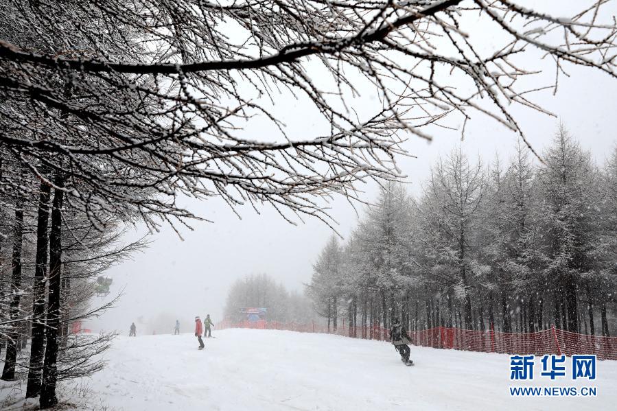 11月18日，滑雪爱好者在崇礼区一滑雪场滑雪。当日，河北省张家口市崇礼区迎来一场大范围降雪，滑雪场银装素裹，吸引人们前往体验滑雪的魅力。新华社发（武殿森 摄）