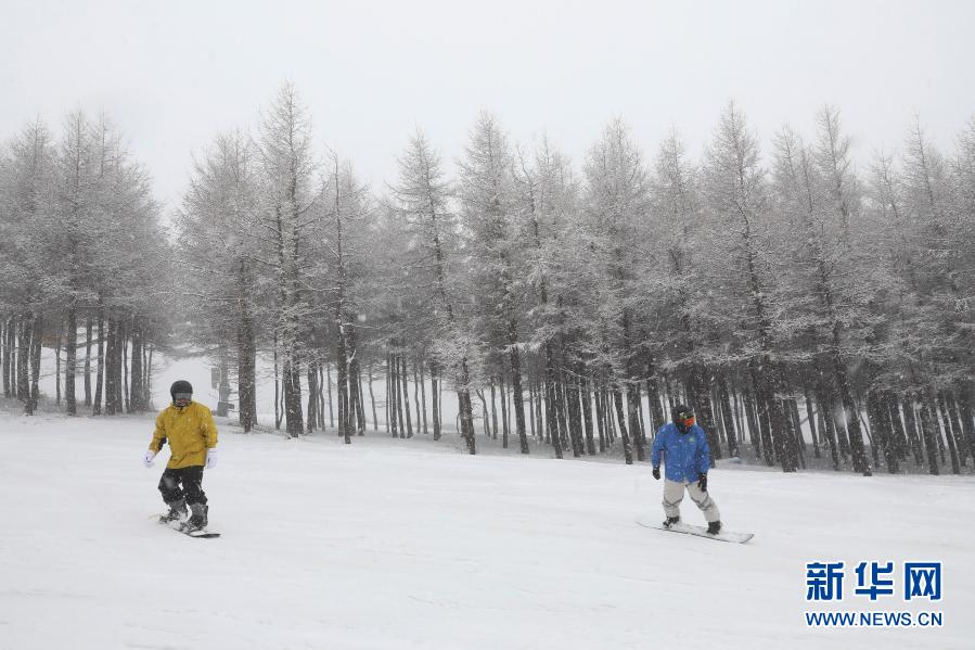 11月18日，滑雪爱好者在崇礼区一滑雪场滑雪。当日，河北省张家口市崇礼区迎来一场大范围降雪，滑雪场银装素裹，吸引人们前往体验滑雪的魅力。新华社发（武殿森 摄）