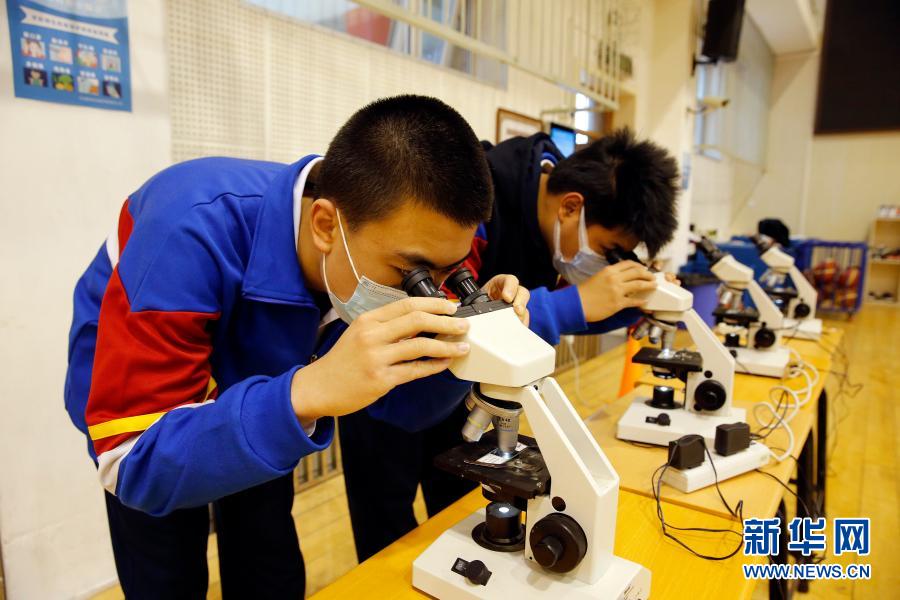 11月18日，学生用显微镜观察植物。当日，北京市第五中学举行校园科技嘉年华。本次活动涵盖物理、化学、生物、地理、人工智能等学科，同学们参与VR互动、显微镜观察、离心运动实验等活动，探索科学奥秘，激发学习兴趣。新华社发（周良 摄）