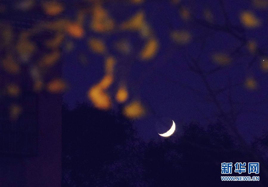 11月19日在北京西四附近拍摄的夜空。新华社记者 邢广利 摄