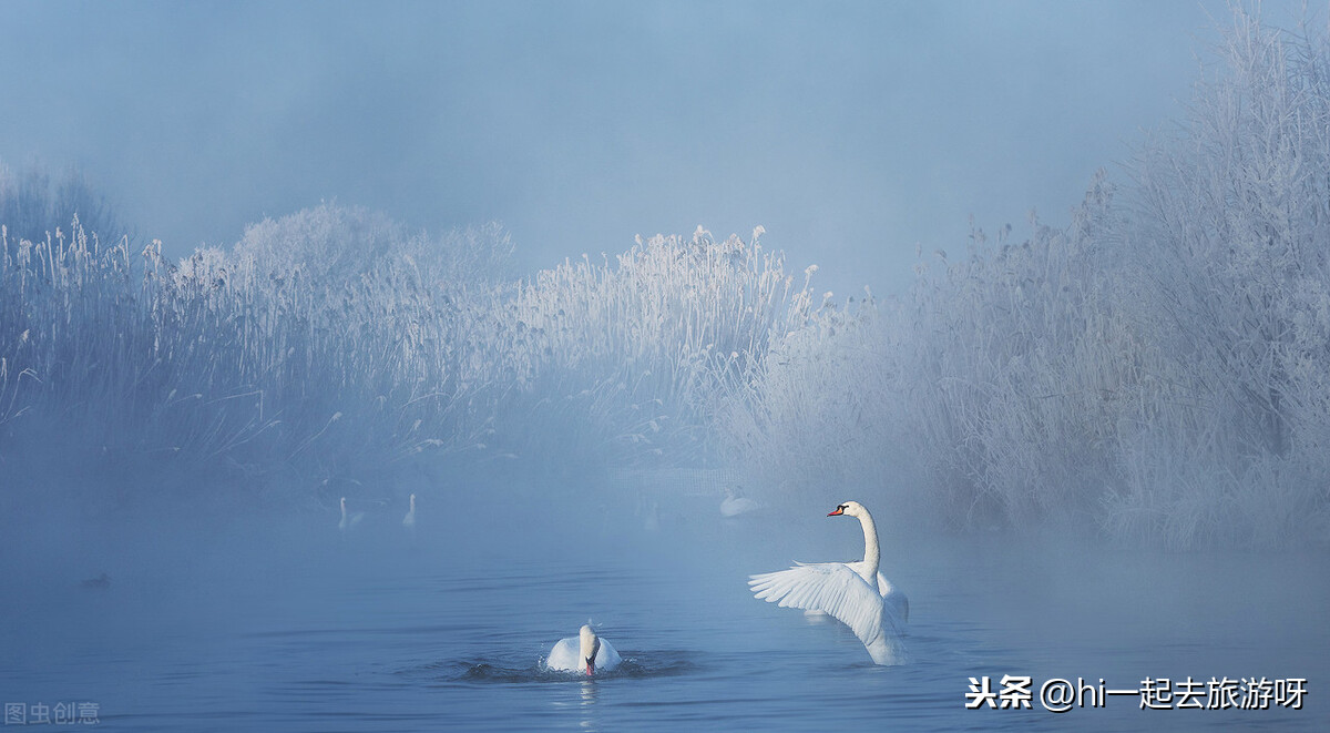 这些国内一生必打卡的10个最美的不同风景，你去过多少个？