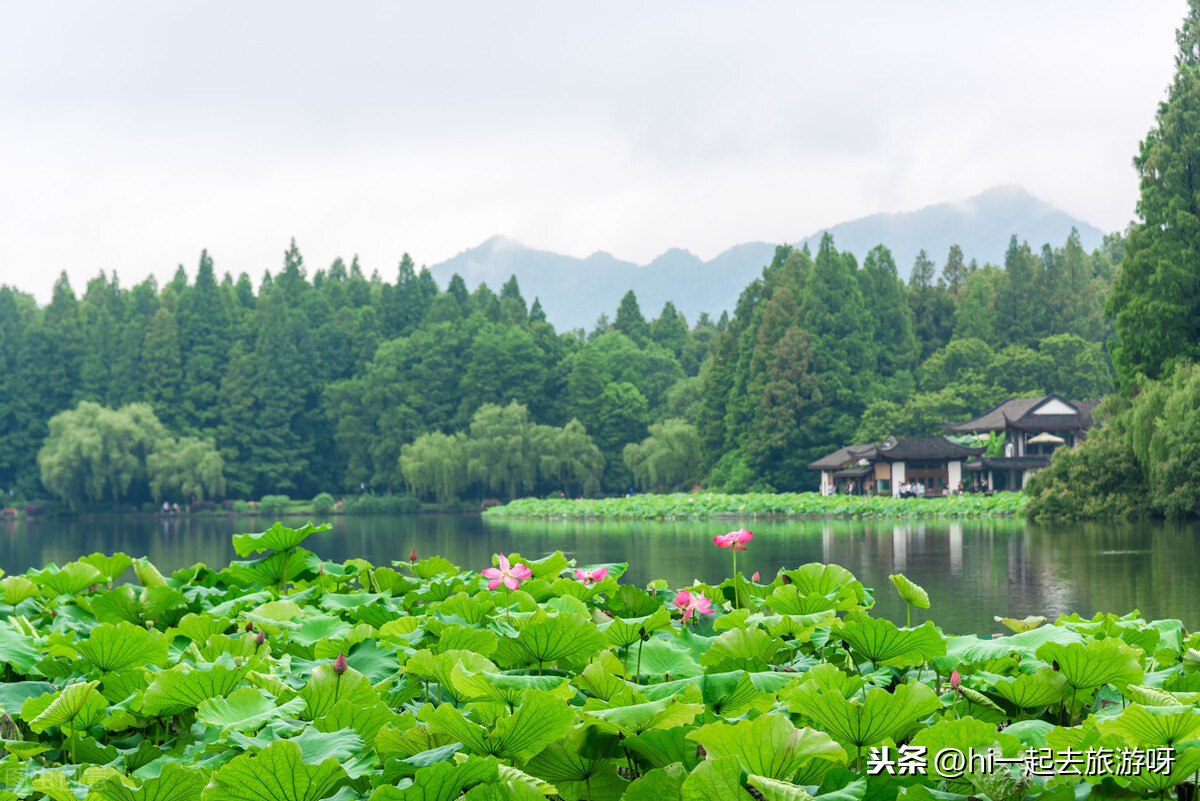 这些国内一生必打卡的10个最美的不同风景，你去过多少个？