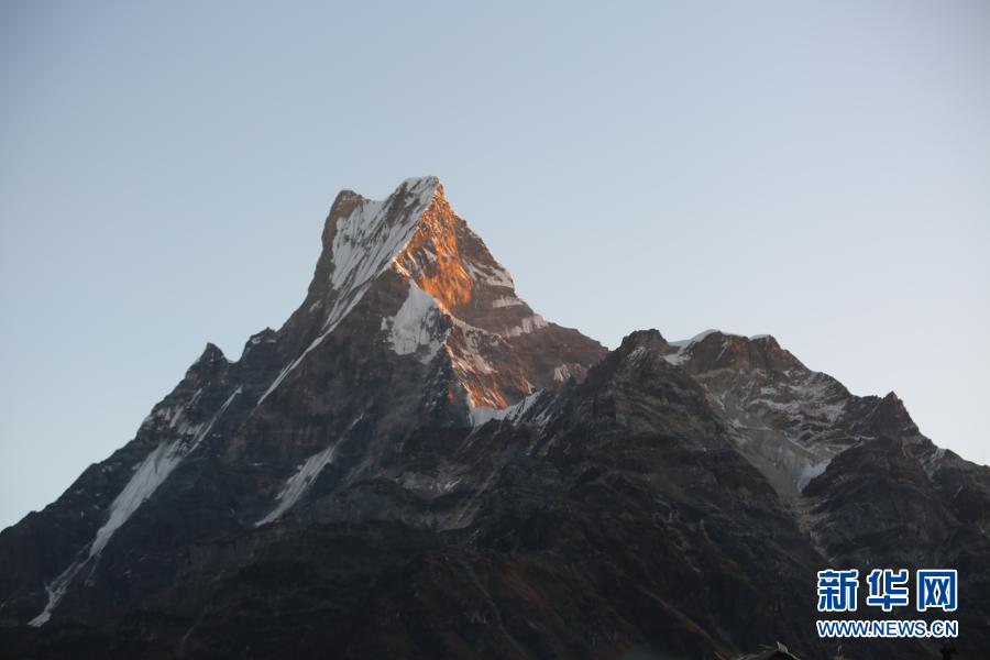         这是11月11日在尼泊尔安纳布尔纳地区拍摄的朝霞中的鱼尾峰。　　尼泊尔雪山林立，是有着“徒步天堂”美称的高山国度。每年春秋时节是尼泊尔的旅游旺季，大量徒步和登山爱好者会前往山区，观赏壮丽的雪山风光。　　新华社发（唐薇 摄）