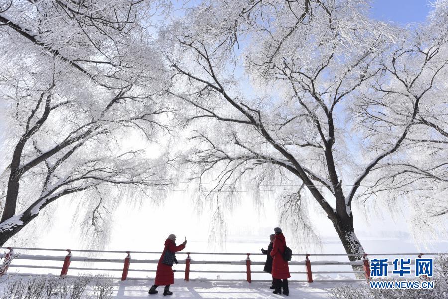 11月22日，在黑龙江省牡丹江市宁安市牡丹江畔，人们在欣赏雾凇美景。新华社发（张春祥 摄）