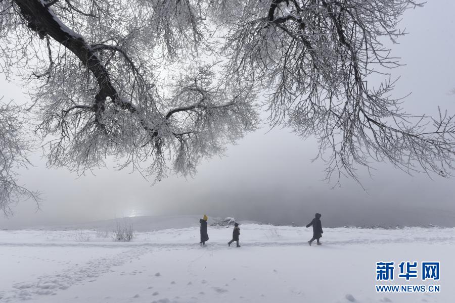 11月22日，在黑龙江省牡丹江市宁安市牡丹江畔，人们在欣赏雾凇美景。新华社发（张春祥 摄）