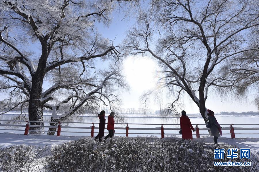 11月22日，在黑龙江省牡丹江市宁安市牡丹江畔，人们在欣赏雾凇美景。新华社发（张春祥 摄）