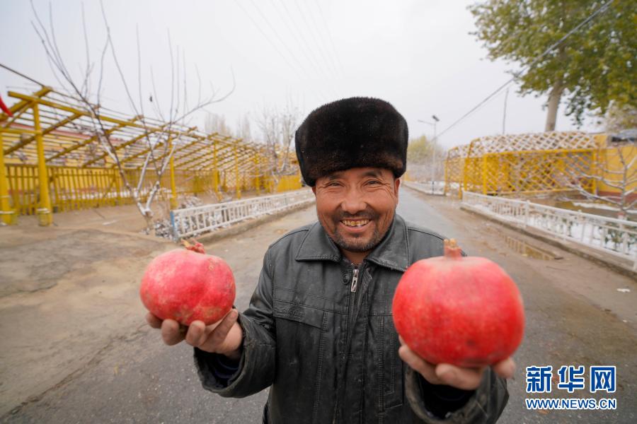 在新疆和田地区皮山县皮亚勒玛乡库木博依村，村民在展示“皮亚曼”一级甜石榴（11月21日摄）。新华社记者 赵戈 摄