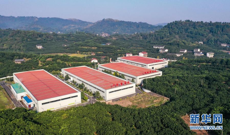 这是广安市龙安乡的农特产品加工厂（11月13日摄，无人机照片）。新华社记者 王曦 摄