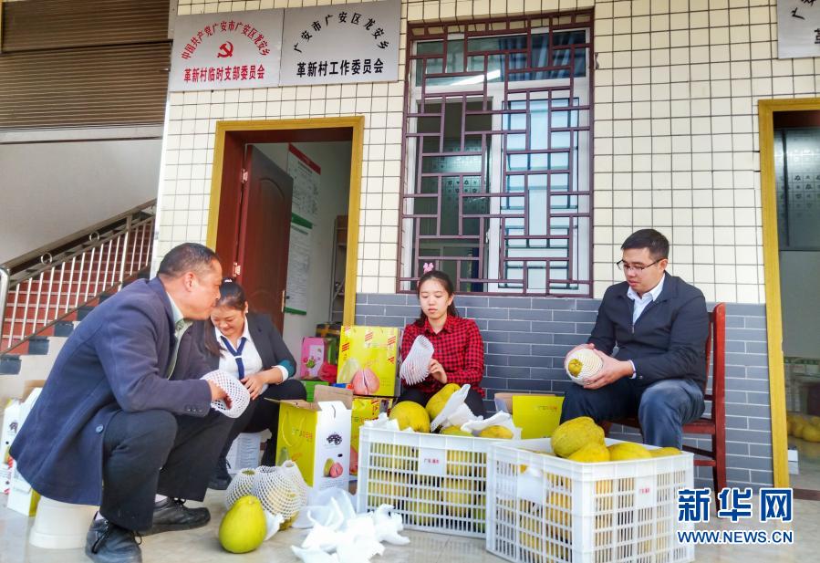 在四川省广安市龙安乡革新村，驻村第一书记金达芾（右一）和同事忙着将村里网售的农产品打包发运（11月9日摄）。新华社发（李伟 摄）