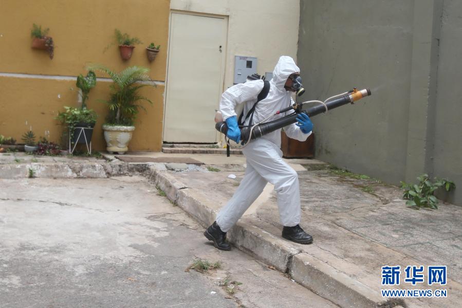 11月24日，工作人员在巴西首都巴西利亚向蚊虫易滋生处喷洒药水。新华社发（卢西奥·塔沃拉摄）