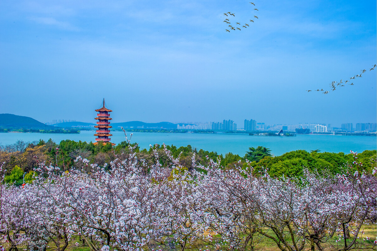 来徐州旅游必打卡的6个著名景点,看了记得收藏一下