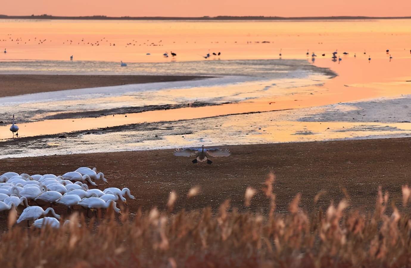 这才是12月最美旅行地，用一场旅行告别2020