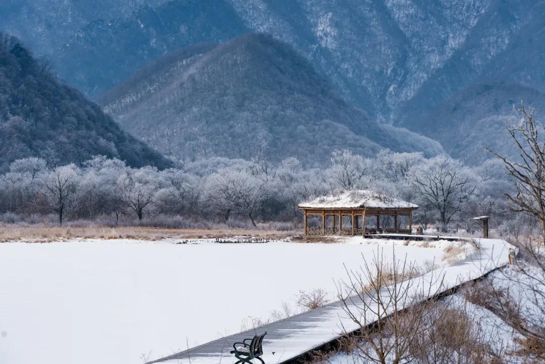 这才是12月最美旅行地，用一场旅行告别2020