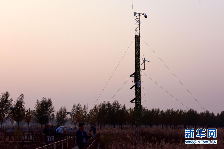 这是安装在河南省商丘市民权县黄河故道国家湿地公园内的监测监控塔（11月6日摄）。新华社记者 朱祥 摄