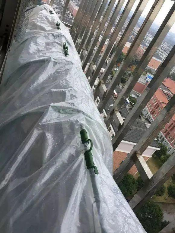 4个防寒潮小妙招,冬天不怕花冻死,轻松养花
