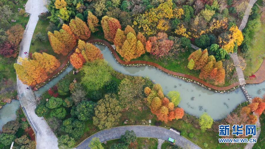 11月28日，游客在江苏扬州蜀冈—瘦西湖风景名胜区游览（无人机照片） 。新华社发（齐立广 摄）