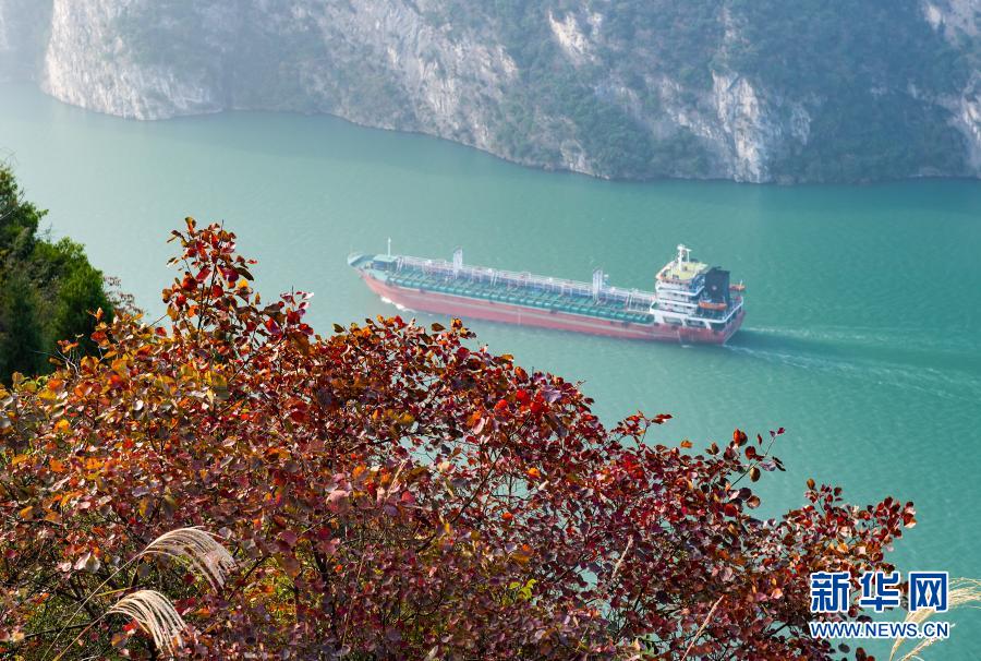 11月29日，船舶行驶在长江三峡湖北省秭归县兵书宝剑峡水域。冬日，三峡库区山林五彩斑斓，景色迷人。新华社发（郑家裕 摄）