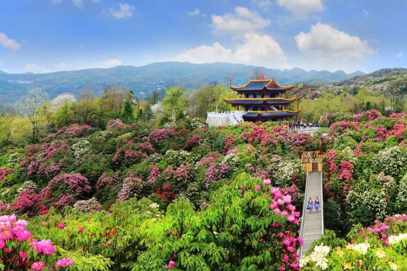 贵州“三大”景区走红，风景美如画，网友称赞“美呆了”