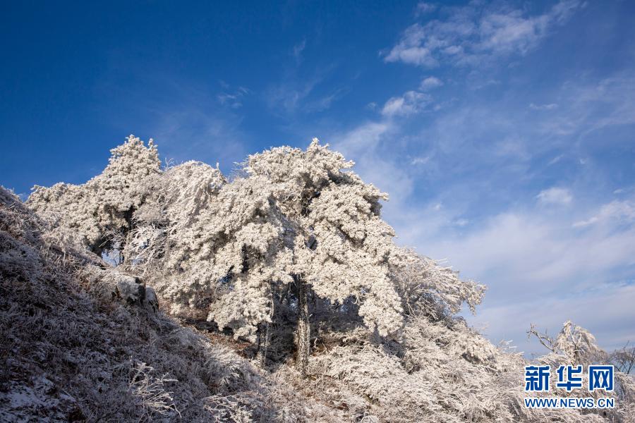 这是11月29日在霍山县大化坪镇拍摄的雪景。11月28日，地处大别山腹地的安徽省六安市霍山县大化坪镇迎来降雪。雪后的山林银装素裹，仿佛童话世界。新华社发（徐程 摄）