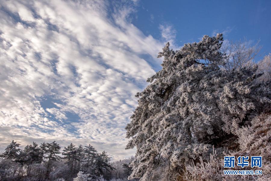 这是11月29日在霍山县大化坪镇拍摄的雪景。11月28日，地处大别山腹地的安徽省六安市霍山县大化坪镇迎来降雪。雪后的山林银装素裹，仿佛童话世界。新华社发（徐程 摄）