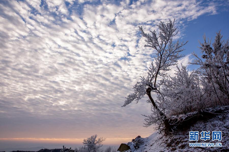 这是11月29日在霍山县大化坪镇拍摄的雪景。11月28日，地处大别山腹地的安徽省六安市霍山县大化坪镇迎来降雪。雪后的山林银装素裹，仿佛童话世界。新华社发（徐程 摄）