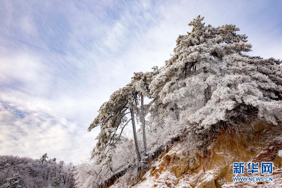 这是11月29日在霍山县大化坪镇拍摄的雪景。11月28日，地处大别山腹地的安徽省六安市霍山县大化坪镇迎来降雪。雪后的山林银装素裹，仿佛童话世界。新华社发（徐程 摄）