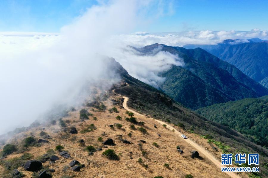 12月1日，车辆行驶在云雾缭绕的武夷主峰黄岗山顶（无人机照片）。当日，位于武夷山国家公园核心区内的武夷断裂带与海拔2160.8米的武夷主峰黄岗山云雾缭绕，美若仙境。福建省武夷山国家公园是全国10个国家公园体制试点区之一，拥有210.7平方公里未受人为破坏的原生性森林植被，保存了世界同纬度带最完整、最典型、面积最大的中亚热带原生性森林生态系统。新华社记者 姜克红 摄