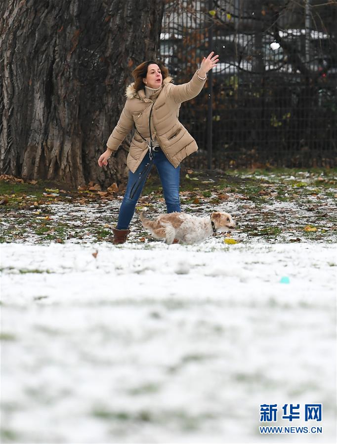 12月1日，一名女子在德国法兰克福一处公园的雪地上与爱犬玩耍。 当日，德国法兰克福市降下今冬初雪。 新华社记者 逯阳 摄