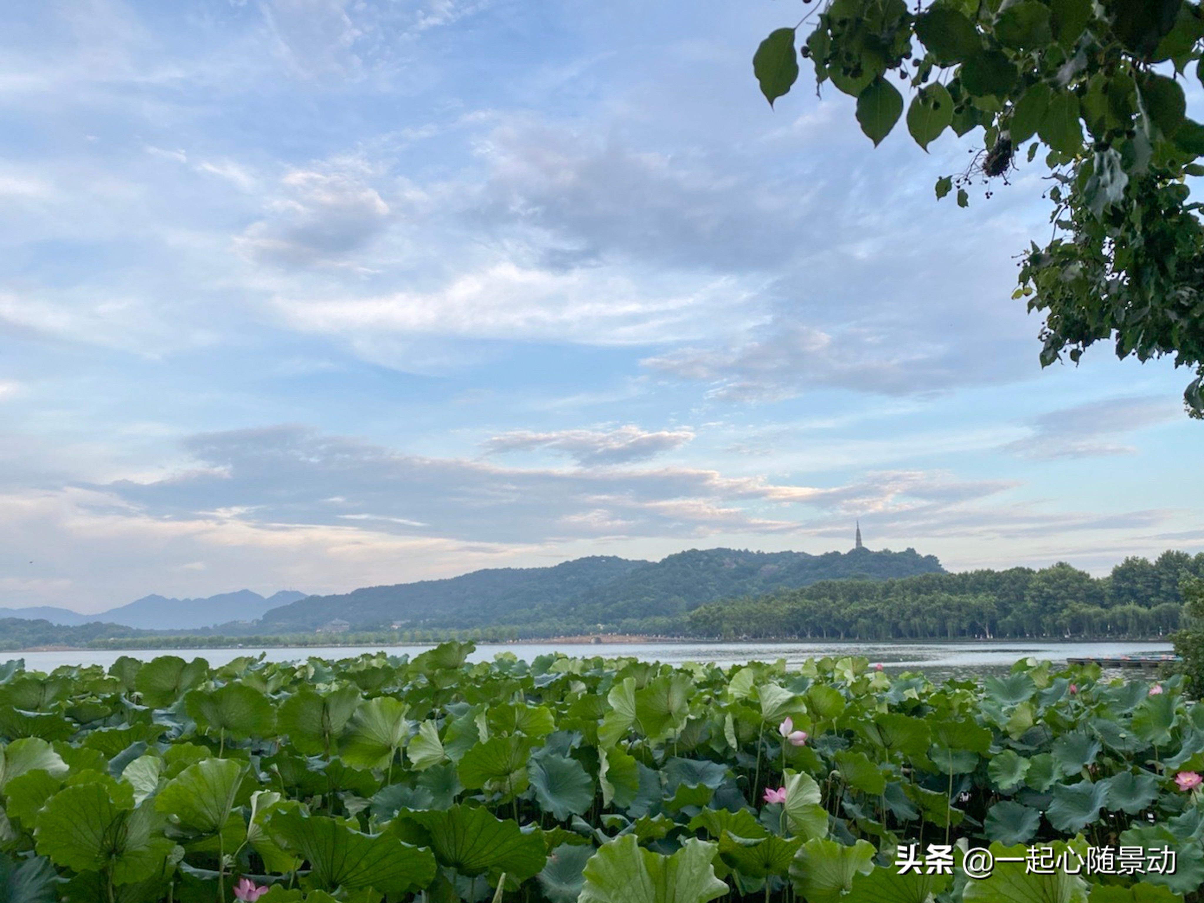 浙江这三个景区口碑好,还不收门票,你去过吗?