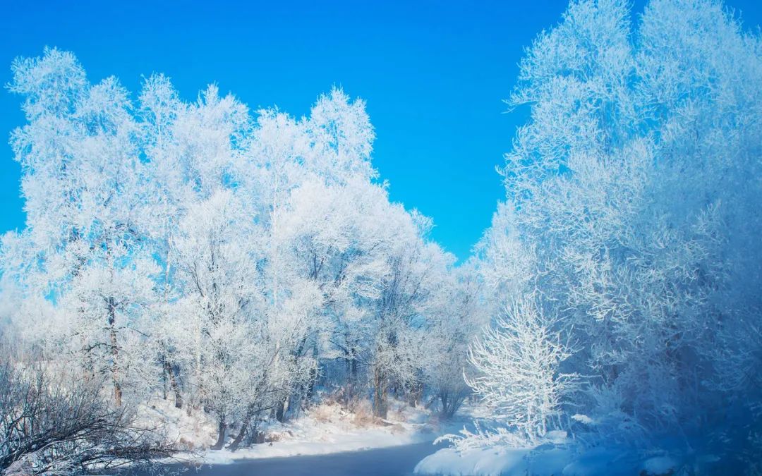 国内6个最佳赏雪地，远离喧嚣美成天堂，雪落成诗