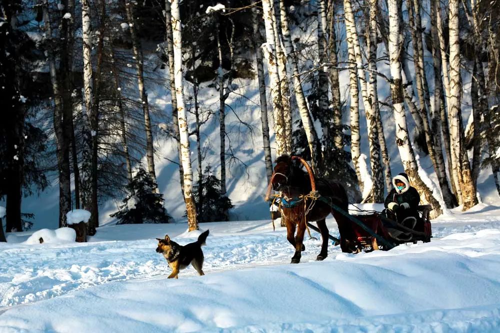 国内6个最佳赏雪地，远离喧嚣美成天堂，雪落成诗