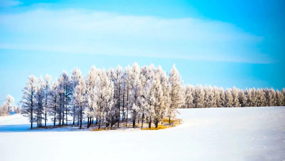 国内6个最佳赏雪地，远离喧嚣美成天堂，雪落成诗