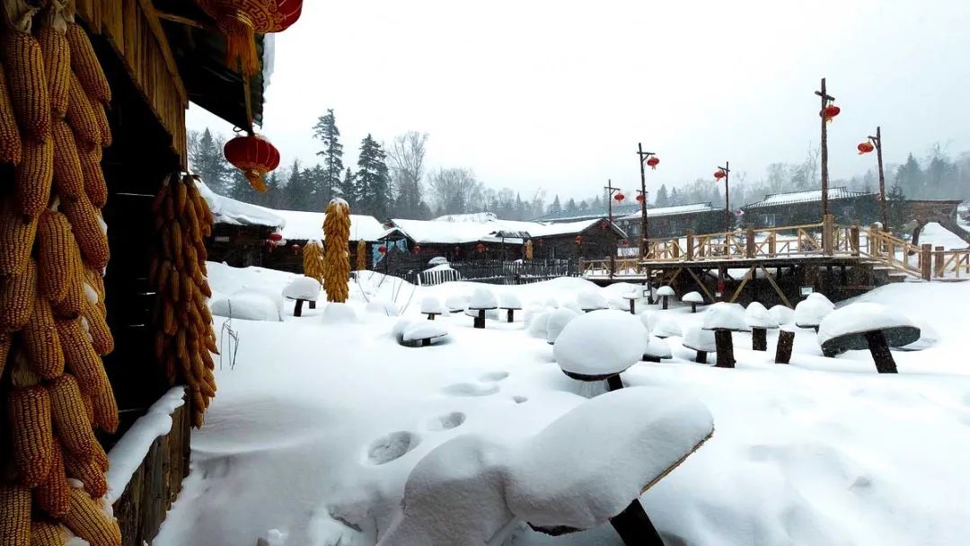 国内6个最佳赏雪地，远离喧嚣美成天堂，雪落成诗